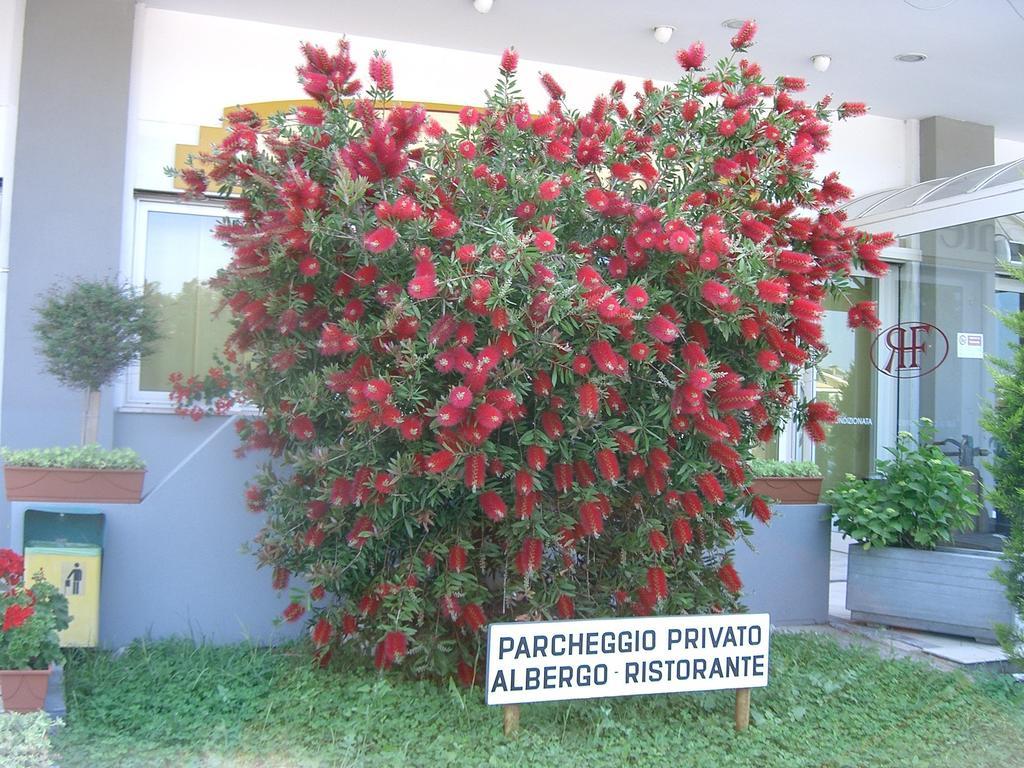 Hotel Filiberto ريميني المظهر الخارجي الصورة